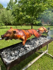 Ivoi Magasbukki vendeghaz