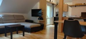 Willa pod Aniołem # apartament z widokowym tarasem