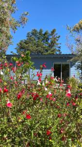 Entre Las Sierras Tiny House