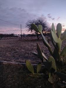 Ensueños Cabañas Familiares