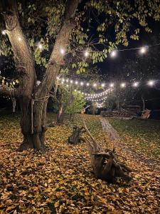 Wąkop 6 Agroturystyka Eco