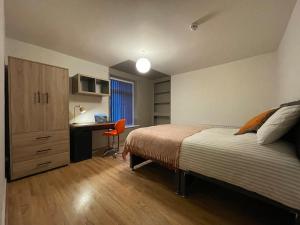 Newly Renovated House in Aberystwyth Town Centre
