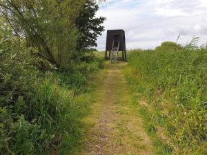 Peaceful Cabin Retreat in Ebeltoft