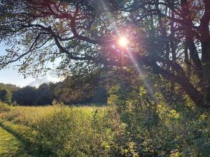 Peaceful Cabin Retreat in Ebeltoft