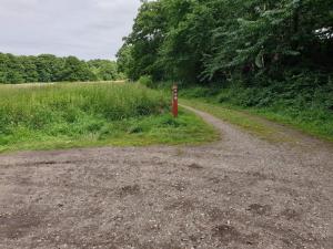 Peaceful Cabin Retreat in Ebeltoft
