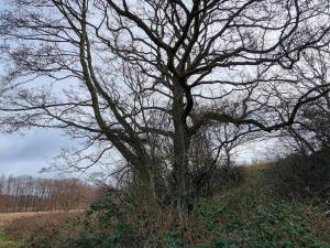 6 person holiday home in Ebeltoft