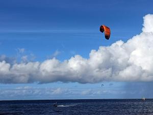 Forest Retreat in Bork Havn - By Traum Ferienwohnungen