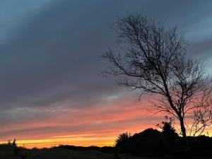 Modern Retreat with Sauna - By Traum Ferienwohnungen