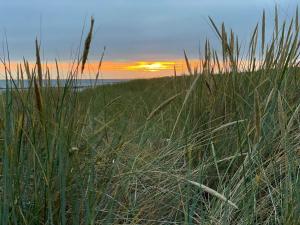 Modern Retreat with Sauna - By Traum Ferienwohnungen