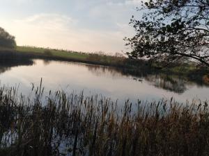 6 person holiday home in Løgstør-By Traum