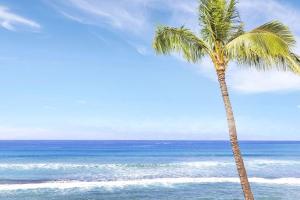 Paki Maui 301 · Direct Oceanfront Views Remodeled 2BD Condo