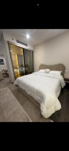 ابراج الشيخ زايد