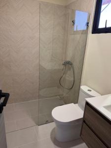 Hermoso PUNTA CANA VISTA CANA