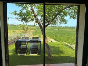 Cabernet Rural