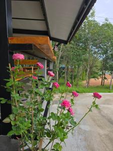 The Simple Place - King