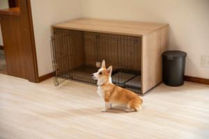 rinne 2nd living Nasu Garden