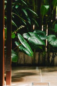 New 3-Bedroom Garden Villa with Swimming Pool