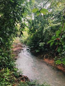 Home in the nature, 8 mins from Coron town