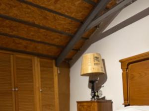 Antalya merkez kaleiçi muhteşem size özel bahçeli özel VİLLA