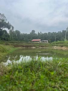 Doddagadde Homestay - Near to Ettina Bhuja Trek