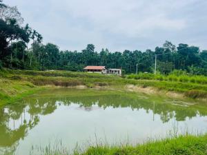 Doddagadde Homestay - Near to Ettina Bhuja Trek