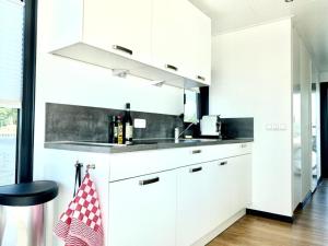 Modern houseboat in Offingawier with terrace