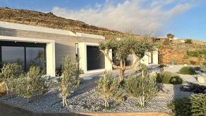 Dream Cave Villa Tinos