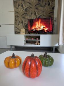 Studio Calme avec Jardin entre Marseille & Cassis