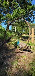 Chambre entre terre et mer