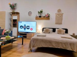 Apartmán ČSA #3# v centru Hradec Králové