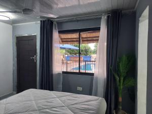 Buffalo Bob Lodge & Tours