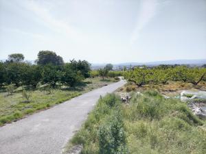 cofunia - Five Elements Retreat on the Yamanobe Trail