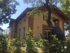 Lisovna-prázdninový dům s vinným sklepem