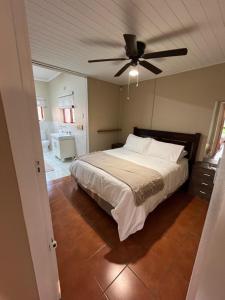 Leliefontein Eco Cottage and Glamping