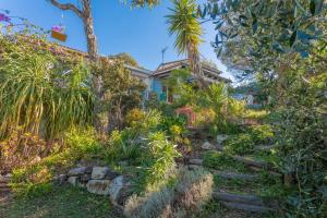 Au Jardin Des Couleurs