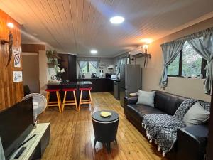 Erdvarkie at Kruger, Marloth Park