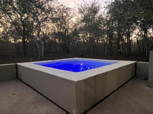 Erdvarkie at Kruger, Marloth Park