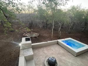 Erdvarkie at Kruger, Marloth Park