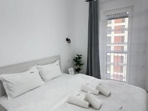 Cozy Apartments in Centre of Arad Adora Park