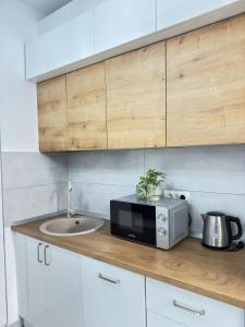 Cozy Apartments in Centre of Arad Adora Park