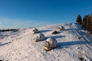 Stargazing Glamping Domes Golte
