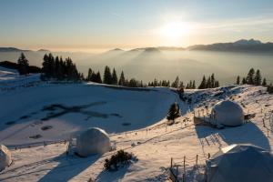Stargazing Glamping Domes Golte