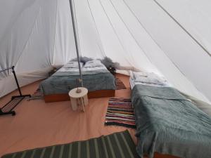 Kompleks wypoczynkowy, GLAMPING Róża Wiatrów