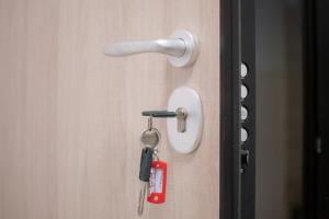 Central Nest near Acropolis