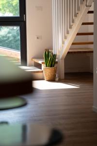 Valdastico Short Rentals