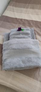 Appartement 2 chambres en face du golf la marquesa