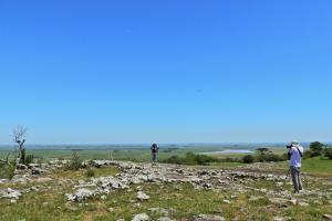 Tinambú - Paso Centurión Tours