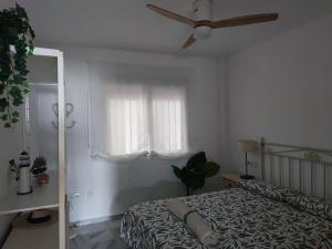 Dreamy sunrise at Marina Playa