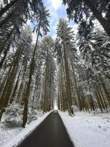Schwarzwald - Modern mit Terrasse