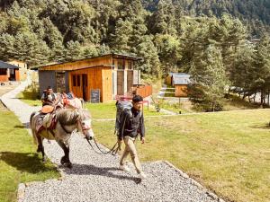 The Himalayan Phakding